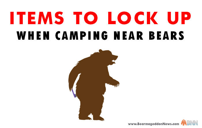 Keep All Items Bear-Safe