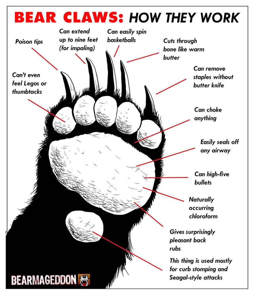 Bear Claws: How They Work