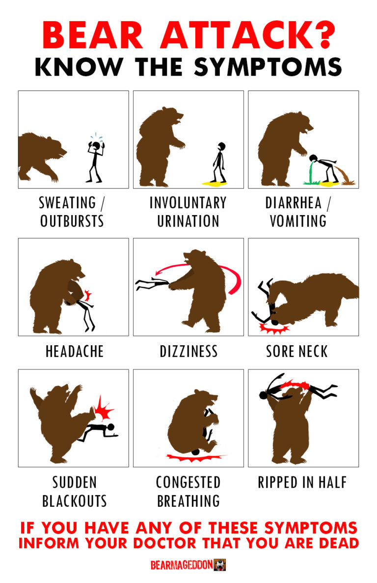 bear-attacks-know-the-symptoms