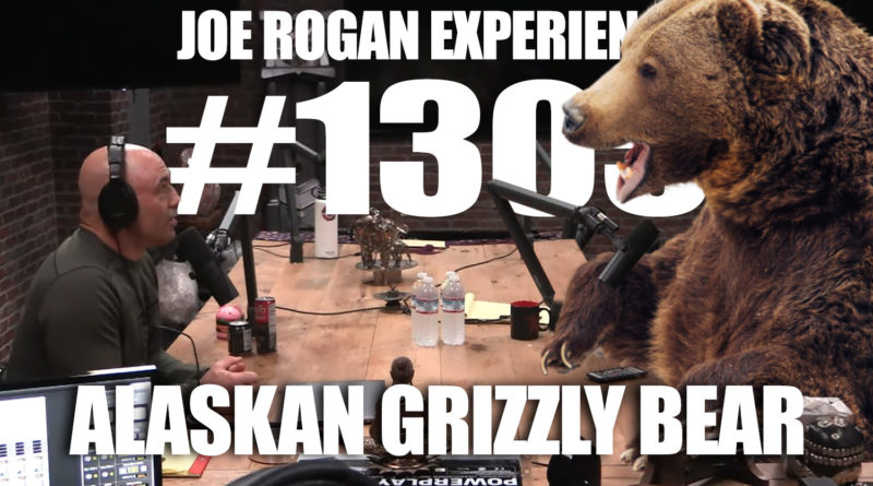 Joe Rogan Interviews 1,600 Pound Alaskan Grizzly Bear